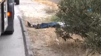 Tır Sürücüsünün Esrarengiz Ölümü