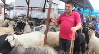 Vezirköprü'de Kurban Pazarında Durgunluk