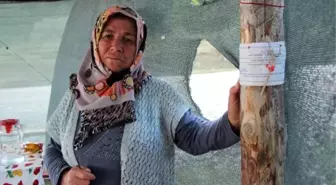 Bolu'da 25 Yayla Evi İçin Yıkım Kararı Verilmesine Tepki