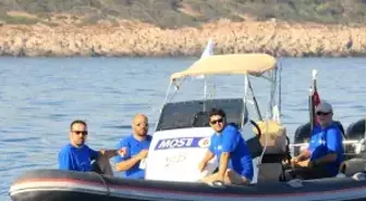 En Büyük Balığı Avlamak İçin Yarıştılar
