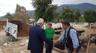 Reşadiye'de Kurban Pazarında Küçükbaş Hayvana İlgi