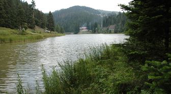 Akgöl'de Yayla Şenliği Düzenlendi