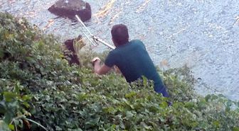 İtfaiyeden Çalılıklarda Köpek Kurtarma Operasyonu