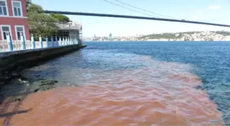 İstanbul'da Manzara Bu Yıl da Değişmedi! Boğaz Kan Gölüne Döndü