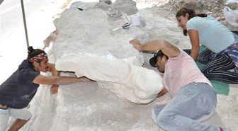 Konut Çalışmasında 9 Milyon Yıllık Fosiller Bulundu