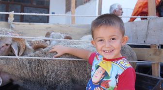 Lapseki'de Kurbanlık Küçükbaş Hayvan Pazarı Kuruldu
