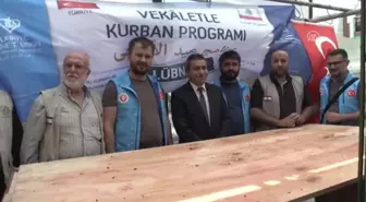 Tdv, Lübnan'da Kurban Kesti