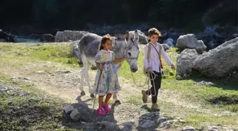 Usta Yönetmen Onur Tan'dan Sımsıcak Bir Aile Filmi: 'Bal Kaymak'