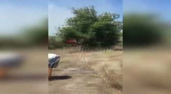 Antalya'da Meyve Bahçesinde Yangın