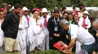 Arhavi'de Bayram ve Festival Coşkusu