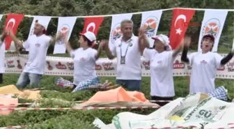 Artvin Arhavi'de Bayram ve Festival Coşkusu