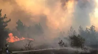 Bolu'da Orman Yangını