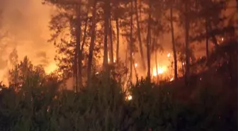 Bolu'da Orman Yangını 2'inci Gününde Devam Ediyor