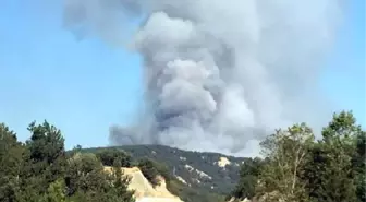 Bolu'daki Orman Yangını Söndürüldü (2)