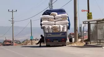 Denizli Kurban Satıcıları Denizli Horozu Kurbanlıktan Pahalı Hale Geldi