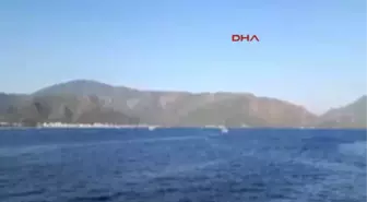 Muğla Marmaris'teki Caretta Caretta Tatilcilerle Yüzdü