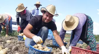 Akıllı Köy'de Patates Denemesi Başarıyla Sonuçlandı