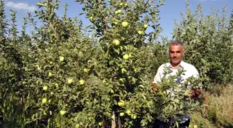 Adana'dan Köyüne Meyvecilik Kültürünü Getirdi