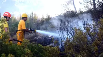 Bodrum'da 1 Hektarlık Ormanlık Alanı Küle Çevirdi