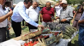 Isparta'da Tarla Günü