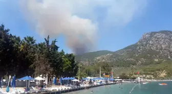 Muğla'da Orman Yangını