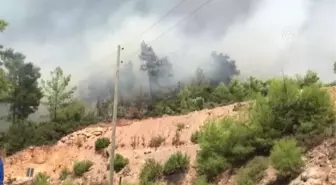 Muğla'daki Orman Yangını