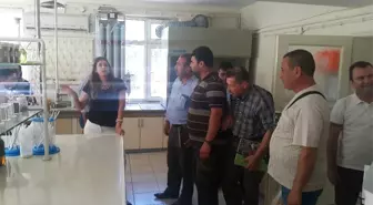 Ayvacık'lı Üreticiler Gaziantep'e Çıkartma Yaptı