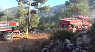 Bodrum'da 1 Hektarlık Ormanlık Alanı Küle Çevirdi