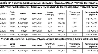 Hazine'nin Dış Piyasalardan Borçlanması 9.1 Milyar Dolara Çıktı