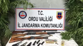 Ordu'da Uyuşturucu Operasyonu