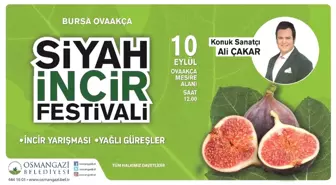 Osmangazi'de Siyah İncir Festivali