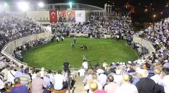 8. Dünya Uluslararası Aba Güreşleri Kıran Kırana Geçti.