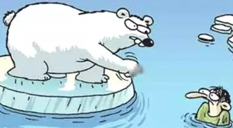 Ders Kitabında El Hareketi Yapan Ayı Karikatürü Skandalına İmha Çözümü