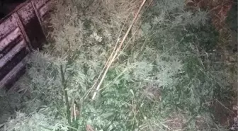 Bağ Evi Cinayetinin Sanığıydı, Uyuşturucudan Tutuklandı