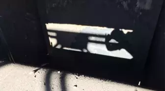 Kopan Kömür Parçasının Altında Kalan İşçi Hayatını Kaybetti