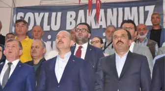 Bakan Soylu: 20 Kasım'a Kadar Bunların İflahını Keseceğiz (2)