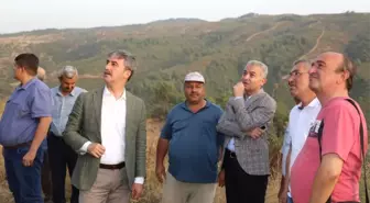 Başkan Şirin'den Ormanlık Alanda Çıkan Yangına Yakın Takip