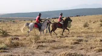 Beyşehir'de 'Atlı Dayanıklılık' Yarışmaları Yapıldı