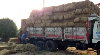 Muğla'nın Zeytinköy Yangın Bölgesine Fatih Belediyesi'nin Gönderdiği Yemler Ulaştı