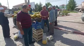 Bu Köyün Tamamı Kavun Yetiştiriyor