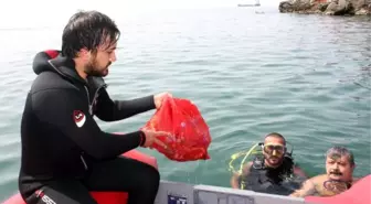 Zonguldak'ta Mavi Bayraklı Plajda Temizlik