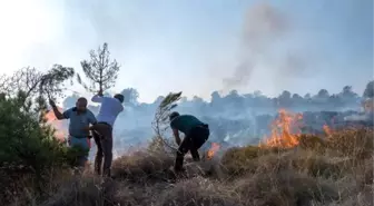 Bozcaada'daki Yangına Kaymakam ve Belediye Başkanı da Müdahale Etti