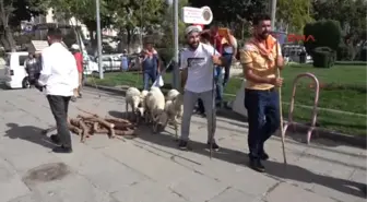 Afyonkarahisar Fuar Öncesi Çoban Ateşi