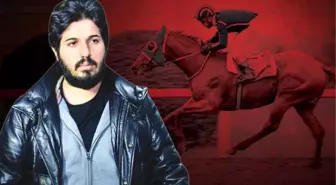 Zarrab Cezaevindeyken Safkan Atı, Sahibine 1,2 Milyon Lira Kazandırdı