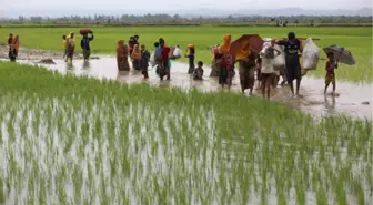 Arakanlı Müslümanların Bangladeş'e Zorlu Yolculuğu