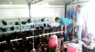 Hayalini Devlet Desteğiyle Hayata Geçirdi