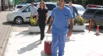 Kazada Ölen Gencin Organları 3 Kişiye Umut Oldu