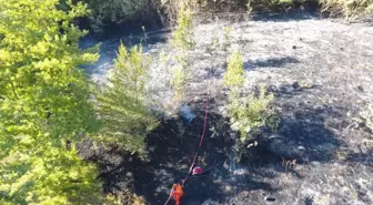 Sinop'ta Fındık Bahçesi Yangını