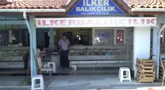 Balıkçılar Palamutta Umduğunu Bulamadı