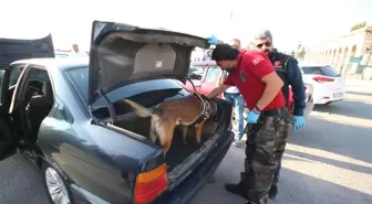 Konya'da Narko-Sokak 3 Uygulaması